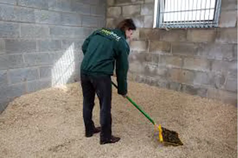 Easibed Shredded Wood Bedding-2